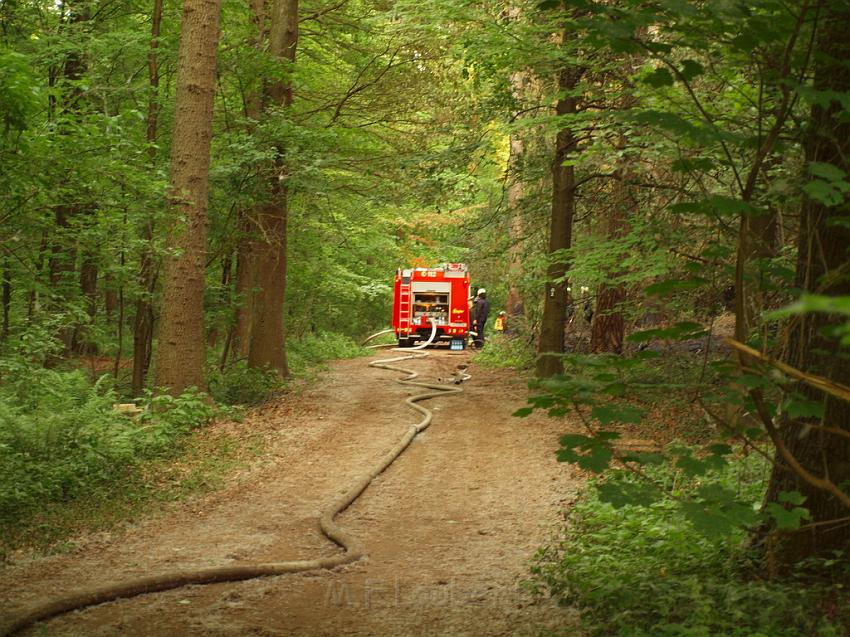 Waldbrand Bergisch Gladbach Bensberg P190.JPG